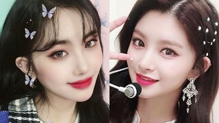 又将是百万！Aisha周偶1天多25W+怡人MIA在后 简直绝了小楼6只都给我继续冲！EVERGLOW❤