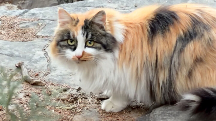 เจอสาวสวยสุดแซ่บระหว่างปีนเขา