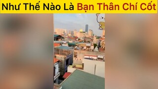 Bạn thân chí cốt