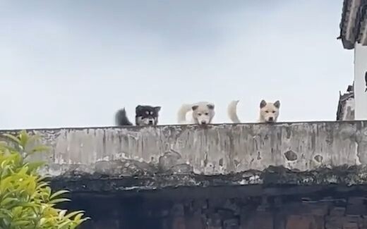 Paparazzi, berangkat!