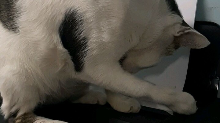 พี่แต้ม ep.6