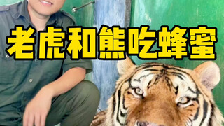 Katakan padaku, apa lagi yang Xiong minta darimu?