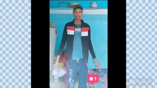 anemi  animal movie