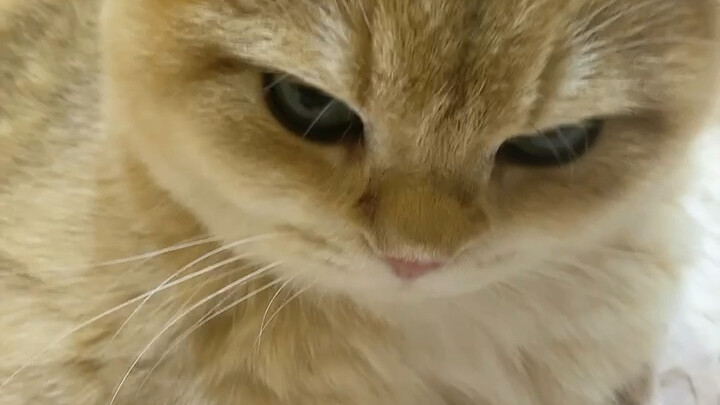 [น้อยใจ][น้อยใจ][น้อยใจ]