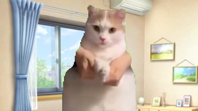 【Cat meme】After being violently dismissed by the company in the middle of the night, 660,000 friends