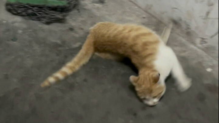 Going home and encountering drunk Hakimi
