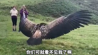 有时候你认为你行，不一定是真行