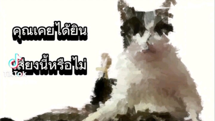 เสียง"เพอร์"