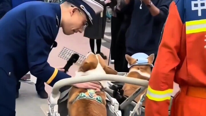 Big cities are just so avant-garde!～