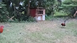 bagong dating ng hatch salpukan agad 😅