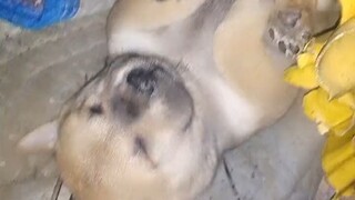 ไม่ใช่ฉันที่ปลุกคุณ คืนนี้คุณจะพลาดมื้อดึกไปเลยนะ