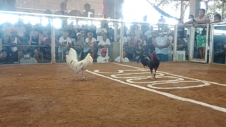 3HITS ULUTAN SA NSQCA DEC. 24, 2023 1STFIGHT WIN