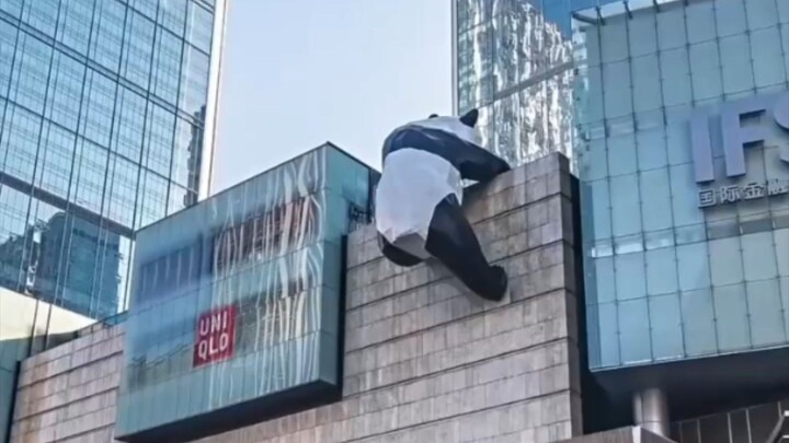 หยุน