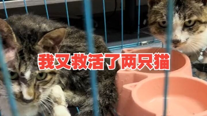 Akhirnya sudah keluar dari rumah sakit, sekalian mengabari para pihak baik yang selalu peduli pada m