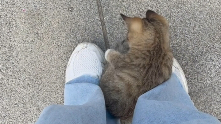 It has nothing, so it cherishes everything.