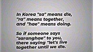 did you know the true meaning of saranghae?