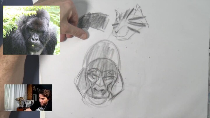 02 Gorilla Shape Breakdown - Animal Character Design with David Colman