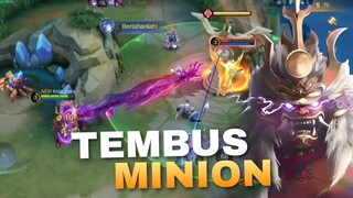 hook menembus minion