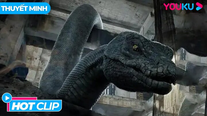 Cuộc chiến với rắn khổng lồ tại đảo hoang | Đảo Rắn - Snake Island Python | Phim Lẻ YOUKU