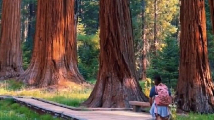 สถานที่จริง