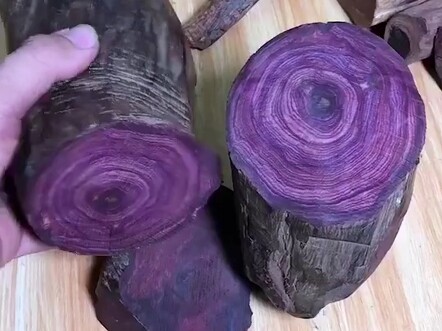 Đây là loại gỗ gì vậy?