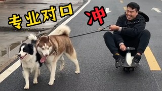 尝试让二哈拉车，好玩是好玩，就是有点废人！