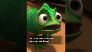 Chi tiết có thể các cậu đã bỏ qua trong Tangle