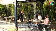 กุหลาบเกราะเพชร 4