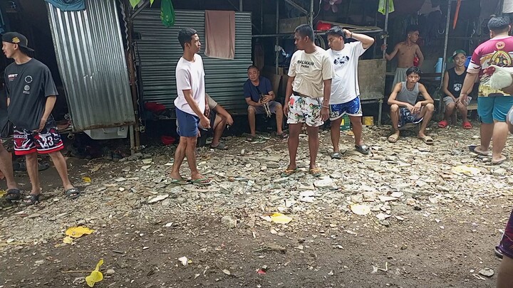 sayang ang manok