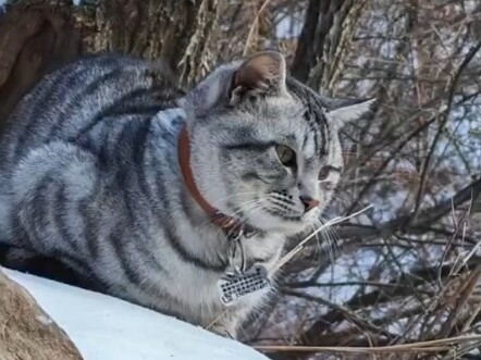 No wonder it’s called Despair Slope—turns out the hill is piled high with DouDou’s despair!