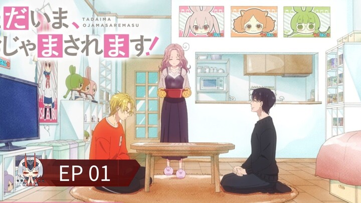 Pardon the Intrusion