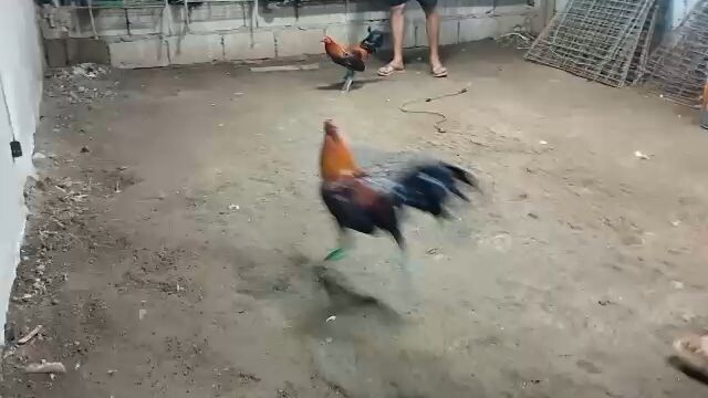 panlaban
