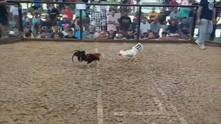 Unscratch