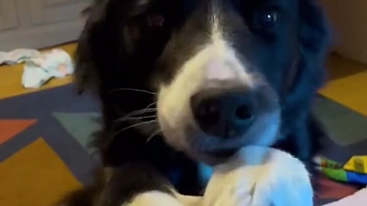 Setelah memiliki si bulu, kematian jadi tidak sebegitu menakutkan lagi.