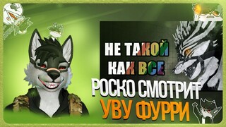 🐺 Роско смотрит 🍀Nava🍀 - UWU-ФУРРИ | Конформисты фурри фендома