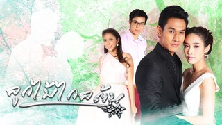 ลูกไม้ไกลต้น ตอนที่ 13