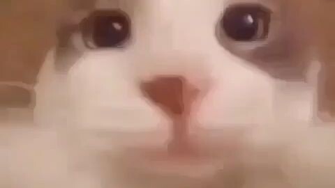 💀