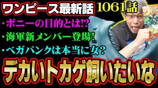 未来島エッグヘッド突入！伏線回収気づいてる！？最後に出てきたDr.ベガパンクは本物！？【 ワンピース 1061話 最新話 考察 】 ※ ジャンプ ネタバレ 注意