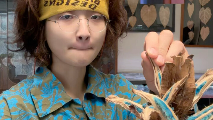 Legenda tentang Pisang Pelancong: Kalau kamu hampir mati kehausan di alam liar…