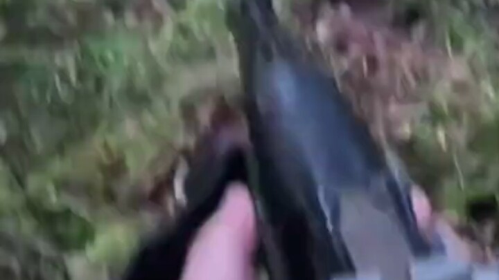 Hunter x Hunter Double-Kills a Brown Bear