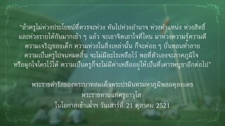 บาปบริสุทธิ์live_3