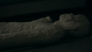The boy was made into a plaster statue and mixed in with art exhibits. The body was not discovered u
