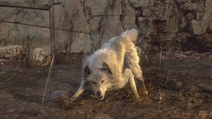 Lyon: Lain kali hati-hati, bro!