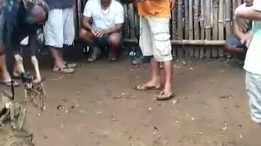 boy tambal ang kontra hahah tapay bisaya