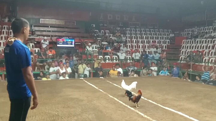 David kontra Goliath (win)