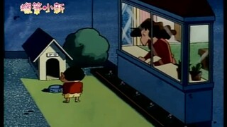 I feel a little lonely when Xiaobai is not at home.