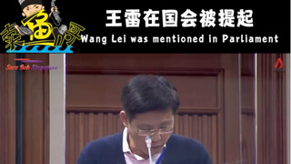 王雷被新加坡国会表扬，全程高能