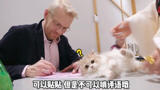 社牛小猫去猫展，裁判的评语你不能啃啊！