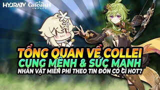 Genshin Collei: Miễn Phí & Có Giá Trị?! Tìm Hiểu Sớm Về Sức Mạnh Nhân Vật Sumeru! Cung Mệnh Thú Vị