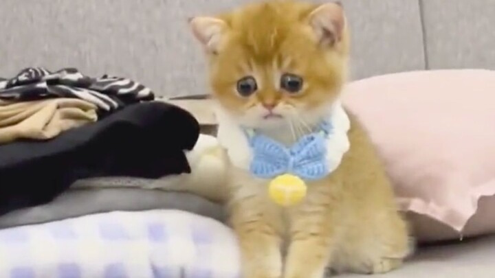 كل الفريق في حالة ترقب وفضول!